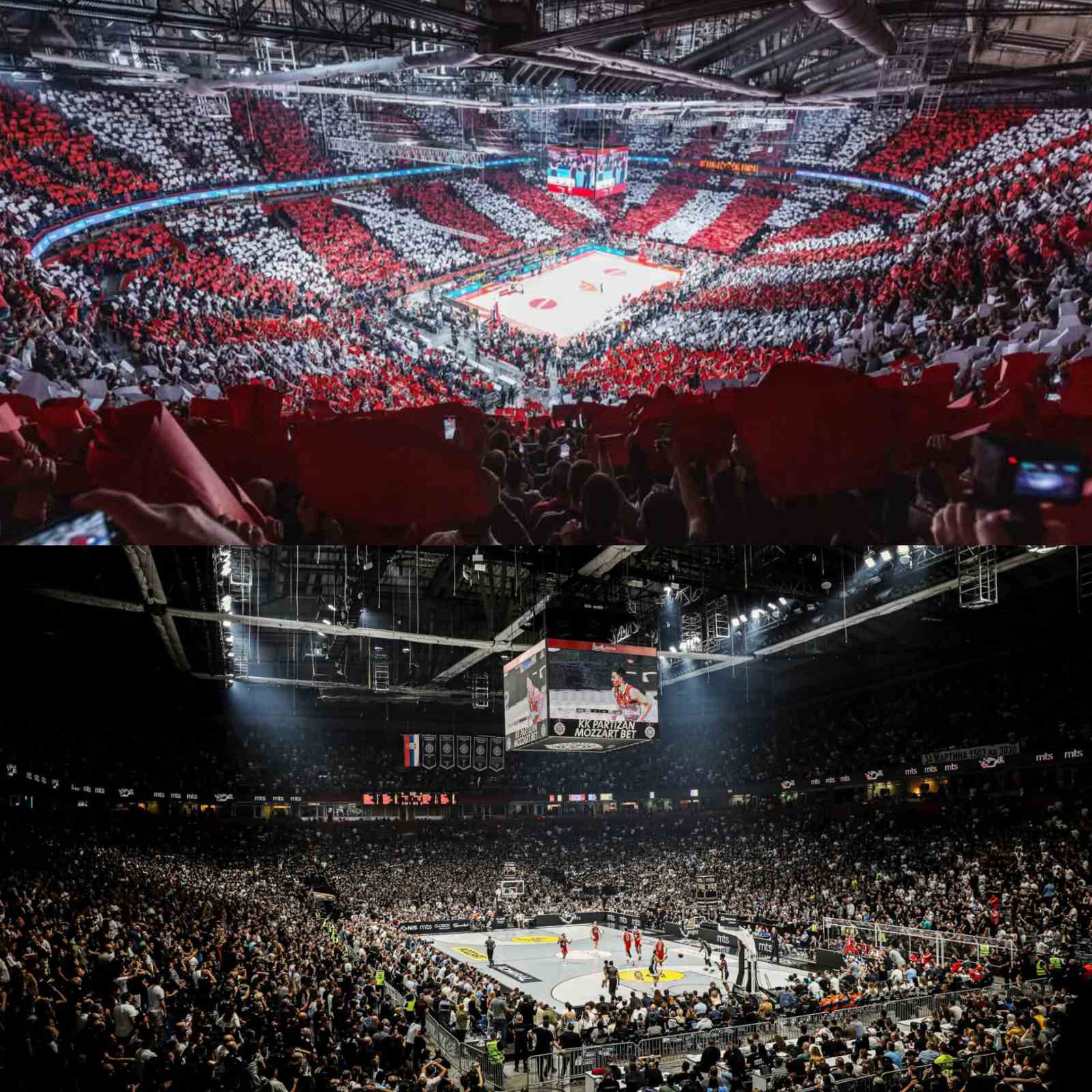 Zvezda i partizan imaju najbolje navijace u evropi, koreografije su najbolje na svetu, a buka u halama je najjaca